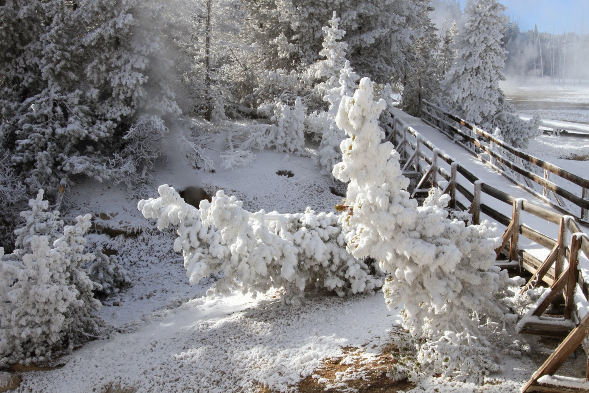 A boardwalk winding through a steaming thermal basin — stay on the boardwalk