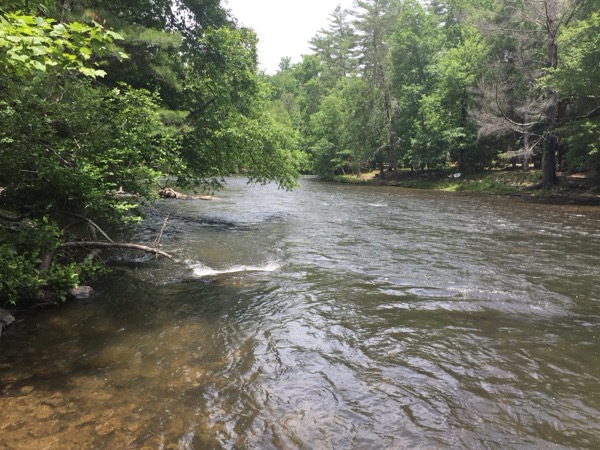 The Toccoa River running through the forest in Fannin County, Georgia