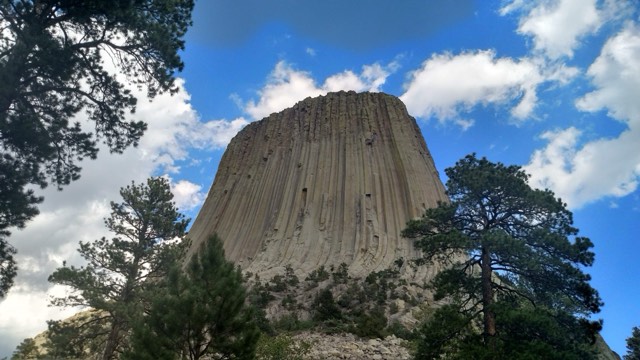 The base of Devils Tower framed by pines from the Tower Trail loop