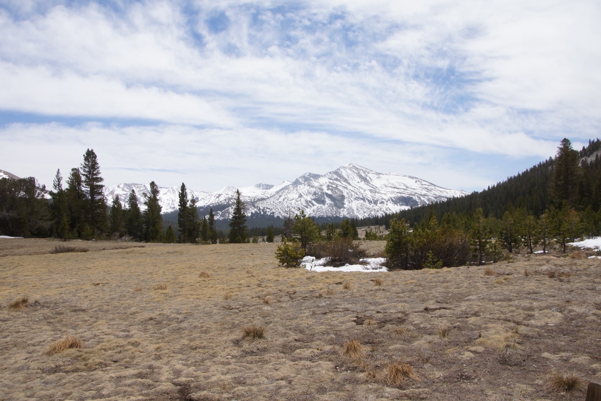 The subalpine expanse of Tuolumne Meadows and snow-capped peaks in Yosemite's high country