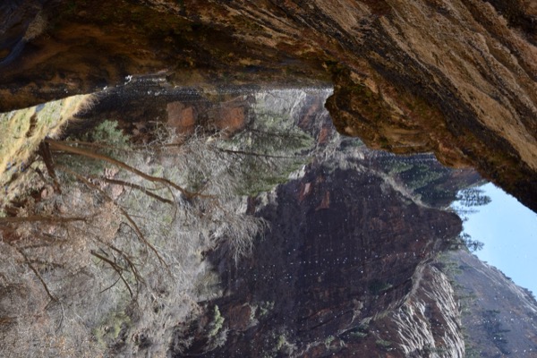 The dripping alcove and hanging garden at Weeping Rock in Zion