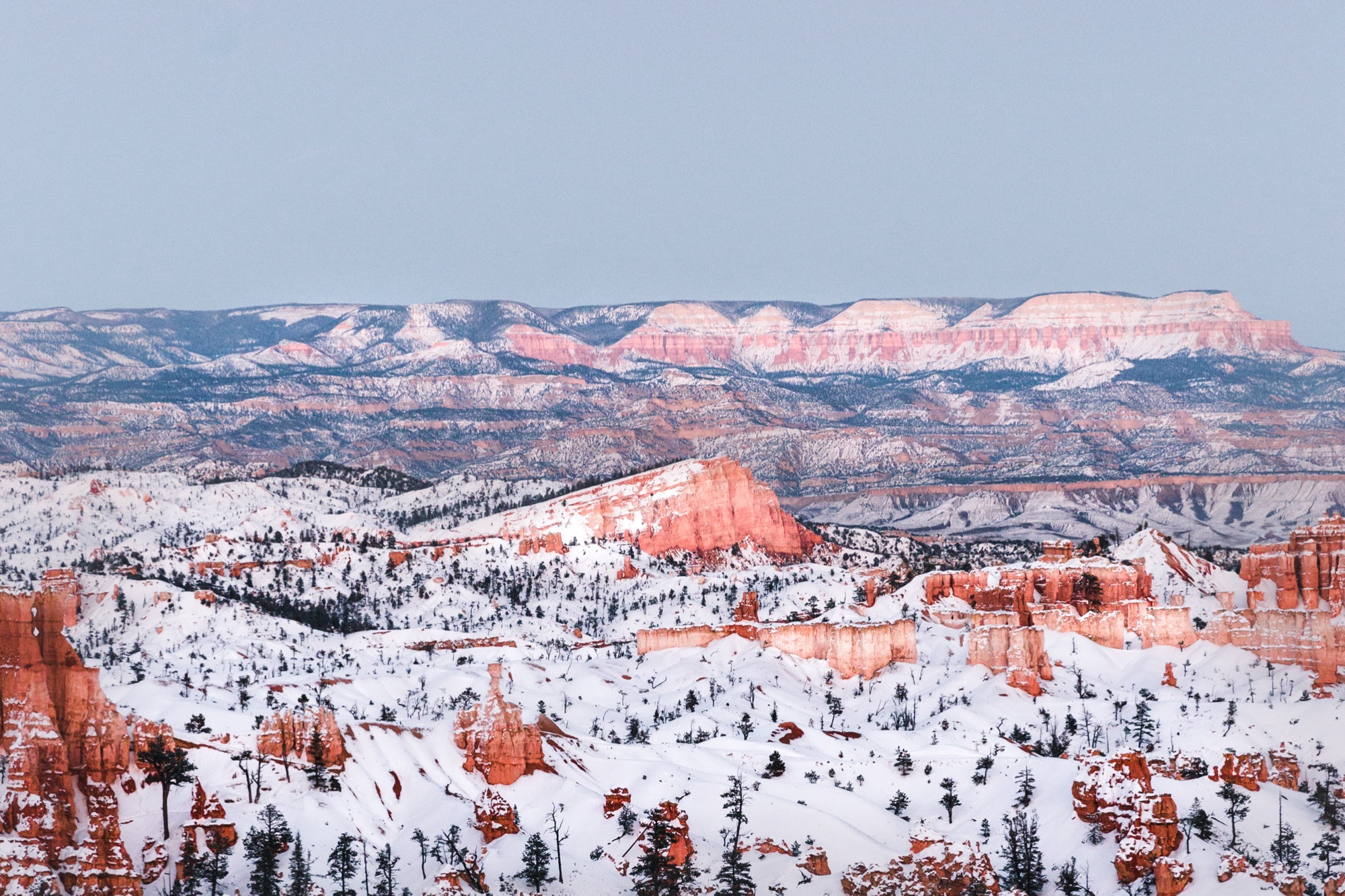 The snow-blanketed Bryce amphitheater glowing at alpenglow in winter
