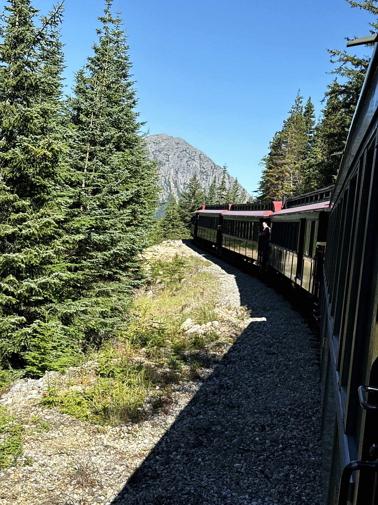 Vintage White Pass and Yukon Route train cars curving along the track through evergreen forest with a mountain behind, near Skagway
