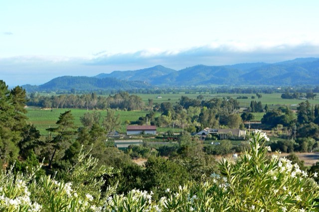 The sweeping view over Napa Valley from the hillside of Auberge du Soleil in Rutherford