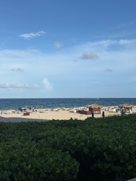 The resort's private Harbor Beach with rows of lounge chairs, umbrellas and beach service